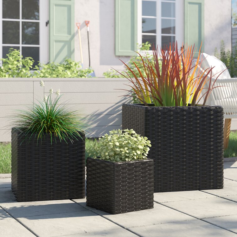 Wayfair plant store pots